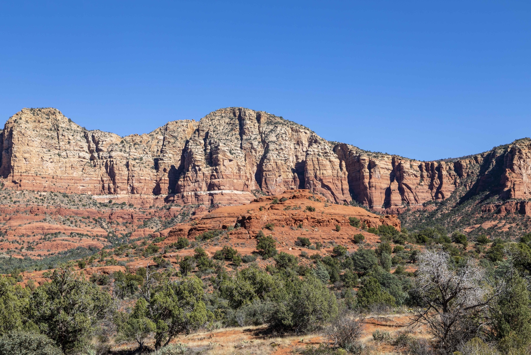 /gallery/north_america/USA/Arizona/navajo nm/Navajo National Monument Nov 2021-004_med.jpg